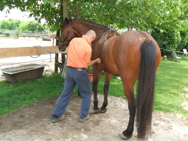 osteopatha